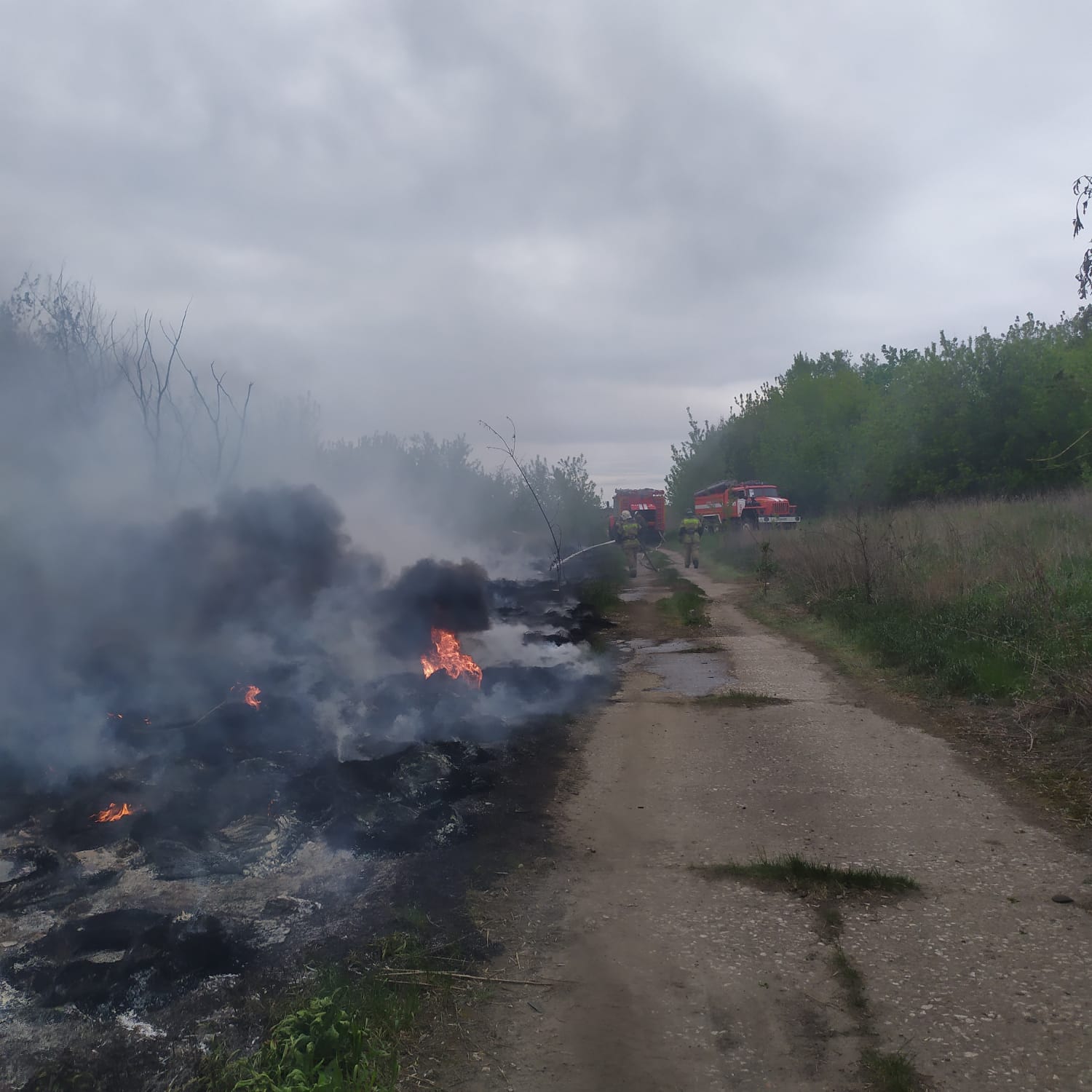 За сутки пензенские пожарные три раза выезжали тушить траву и мусор
