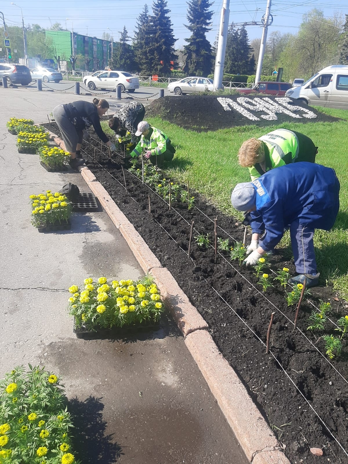 Названы скверы, где в Пензе высадят новые деревья и кустарники