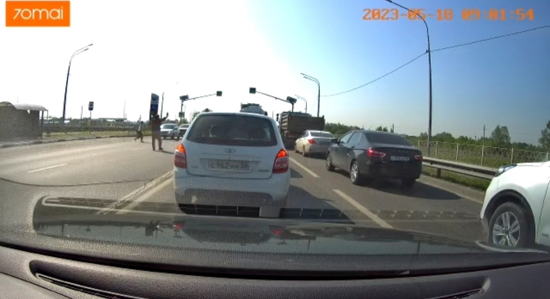 В Пензе мужчина спас утят, переходящих дорогу на улице 40 лет Октября