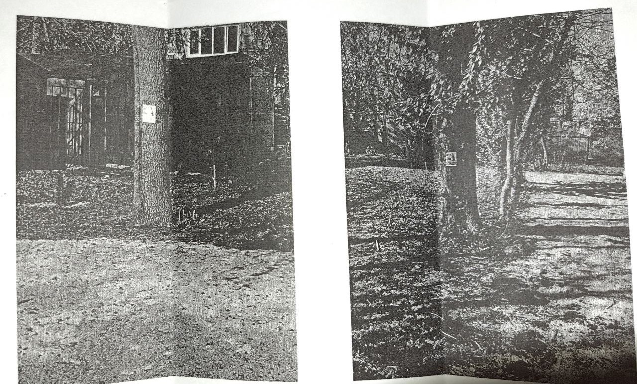 Пензенцев возмутили позорные таблички, примотанные скотчем к деревьям