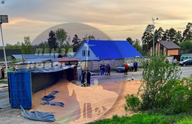 При столкновении легковушки с КамАЗом в Чаадаевке погиб мужчина