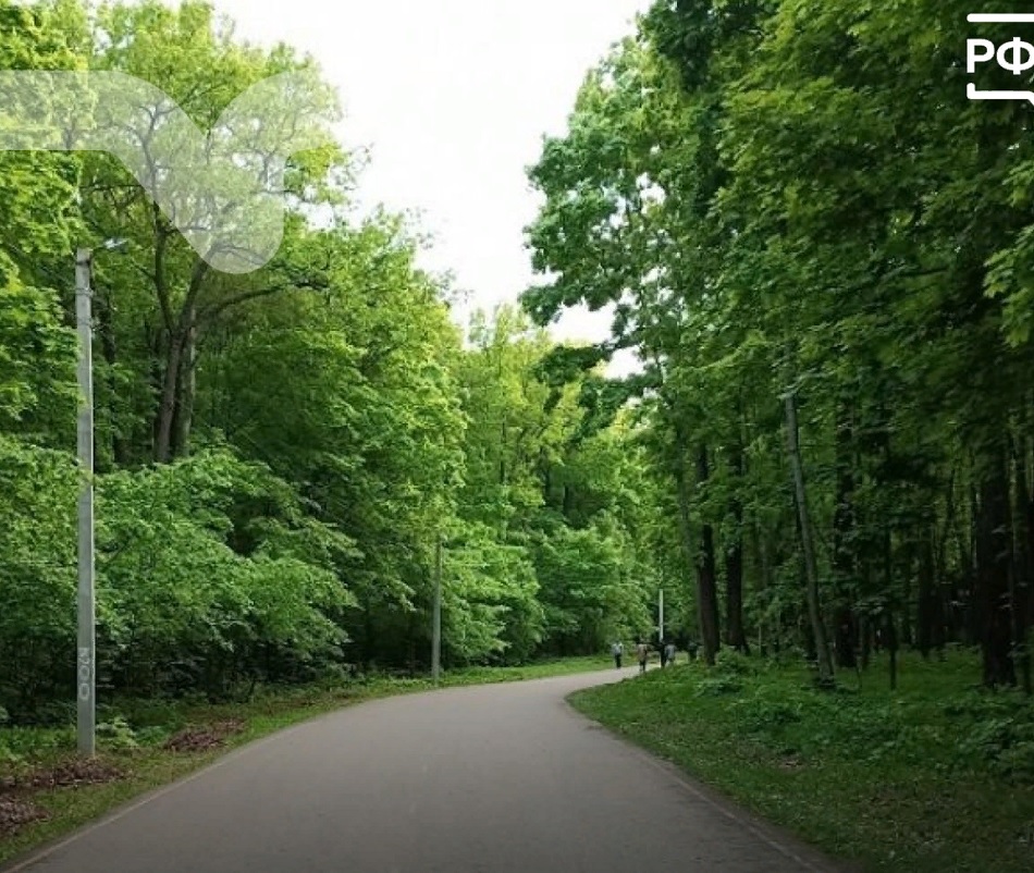 С 23 по 26 мая запрещены прогулки по Олимпийской аллее в Пензе