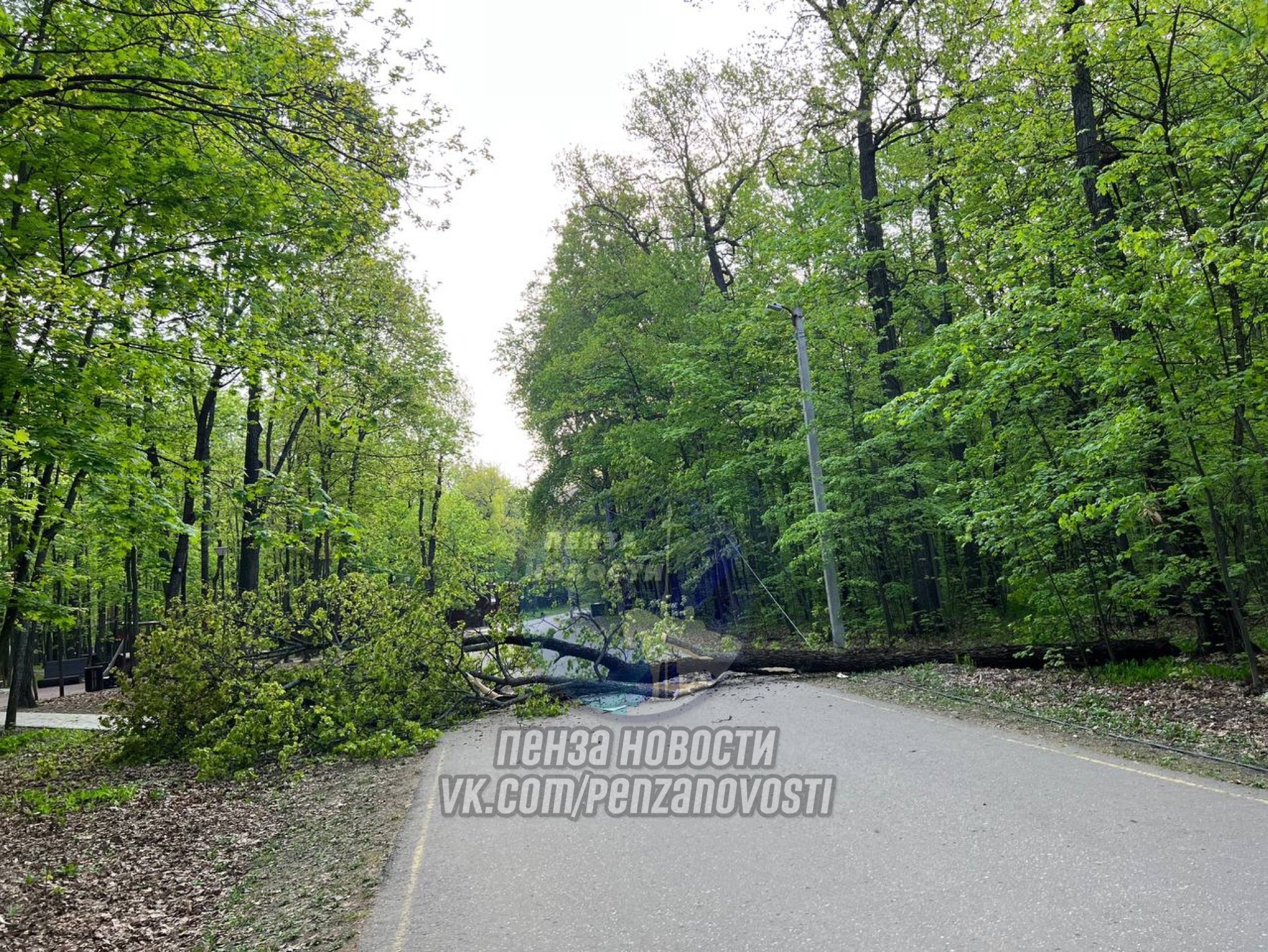 Пензенцев предупредили об опасности на Олимпийской аллее