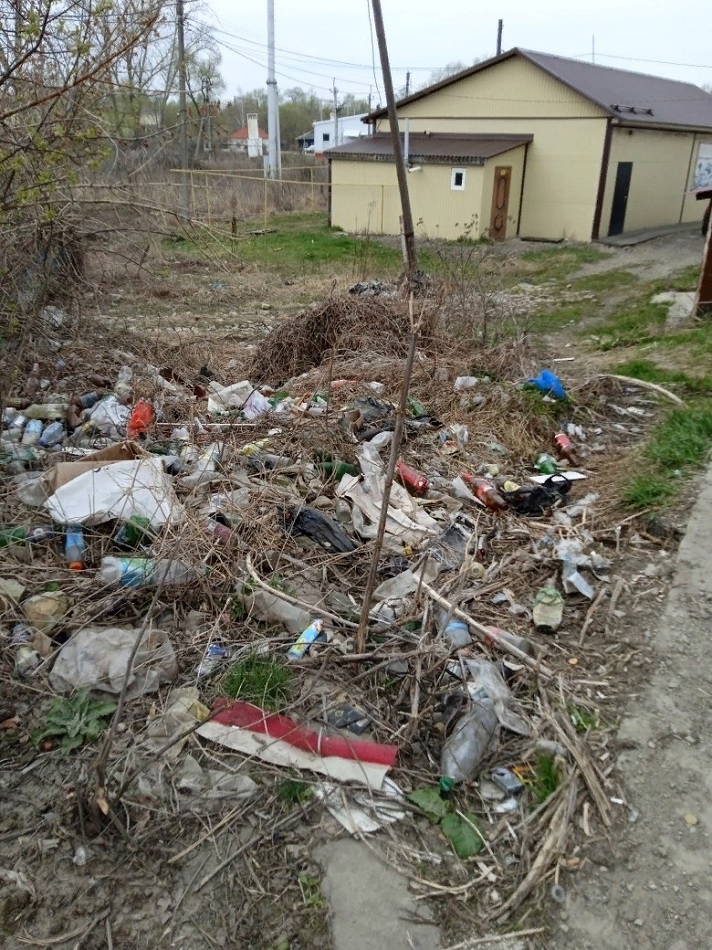 В Лунино рядом с жилым домом развели несанкционированную свалку