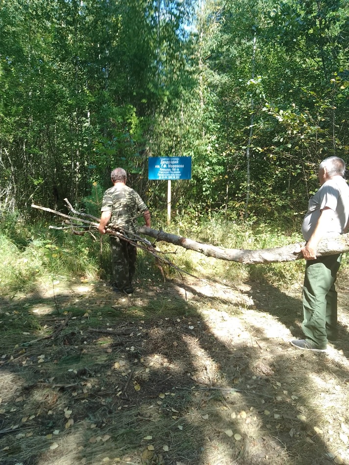 В Пензе началось восстановление Морозовского дендрария