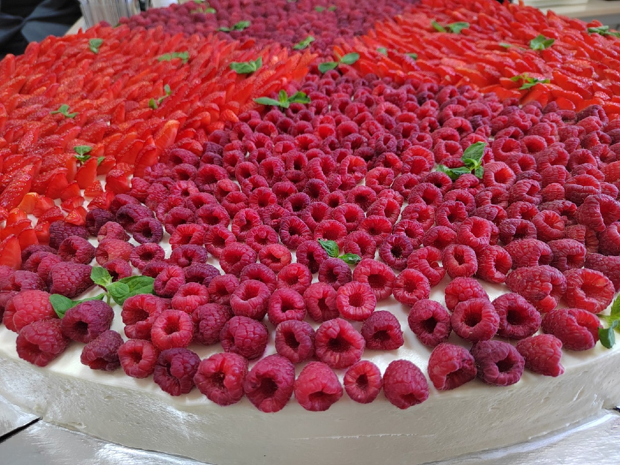 Пензенцам рассказали, как выбрать вкусную черешню