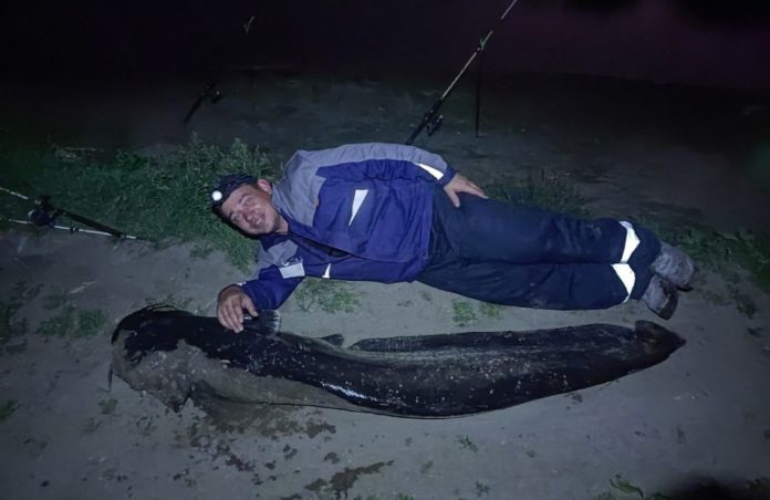 Пензенец вместе с племянником выловили сома весом 60 кг