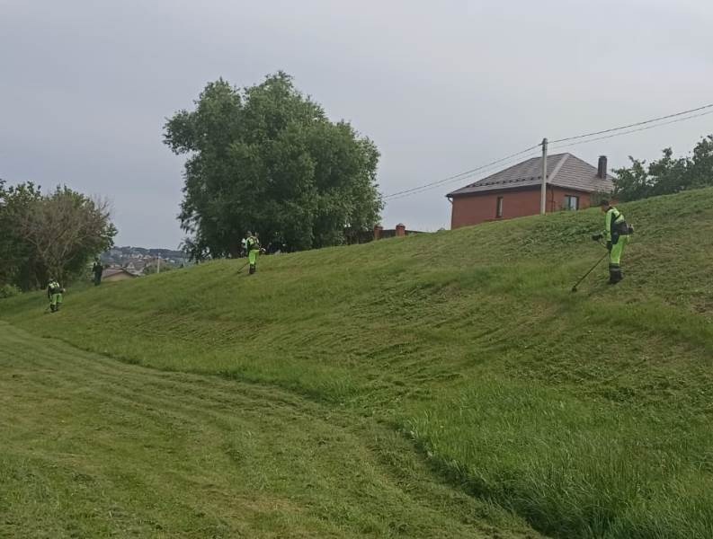 Пензу в 2023 году решили не украшать вазонами с цветами