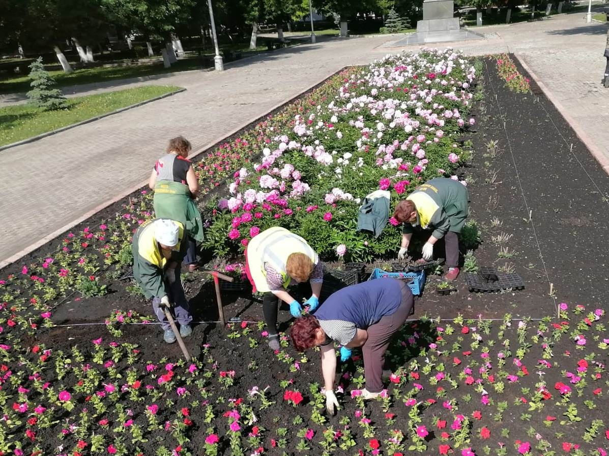 В Пензе высадили практически все запланированные цветники