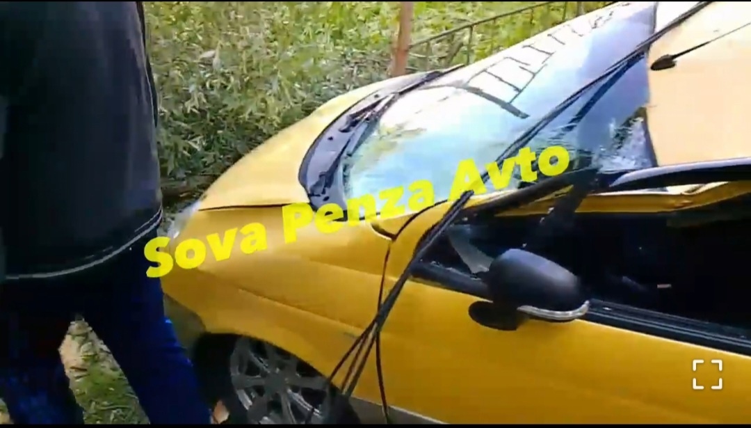 В Пензе на Коммунистической улице дерево рухнуло на машину