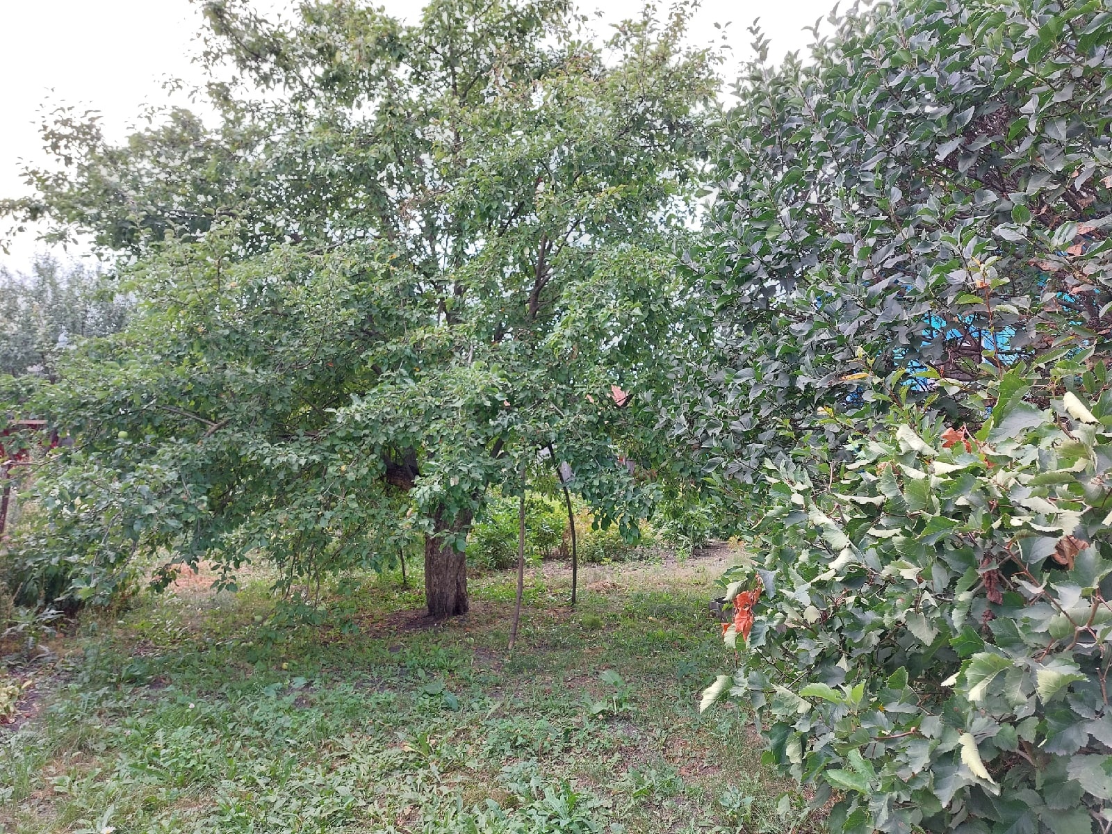 В Кузнецке по итогам голосования благоустроят сквер напротив здания управления образования