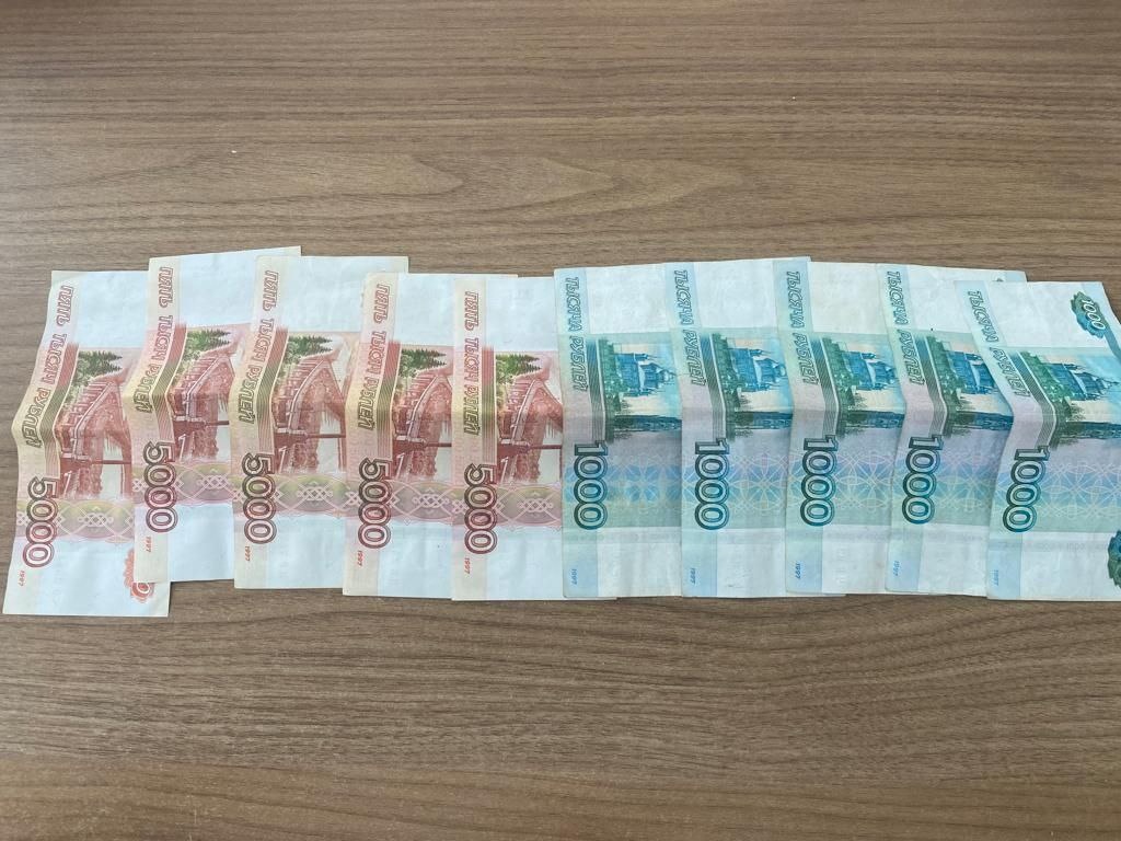 В Пензенской области иностранец ответит за подкуп полицейского и использование фальшивых прав