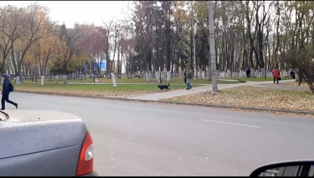 Пензенцы рассказали об уничтожении тротуара для борьбы с переходом на улице Одесской