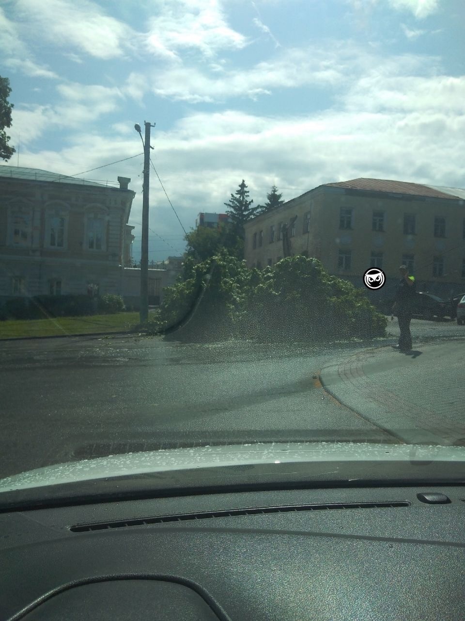 В центре Пензы на дорогу вместе с проводами упало дерево