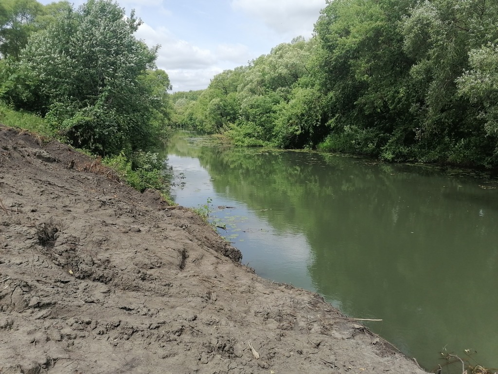 В Пензенской области проводится расчистка пруда на реке Атмисс