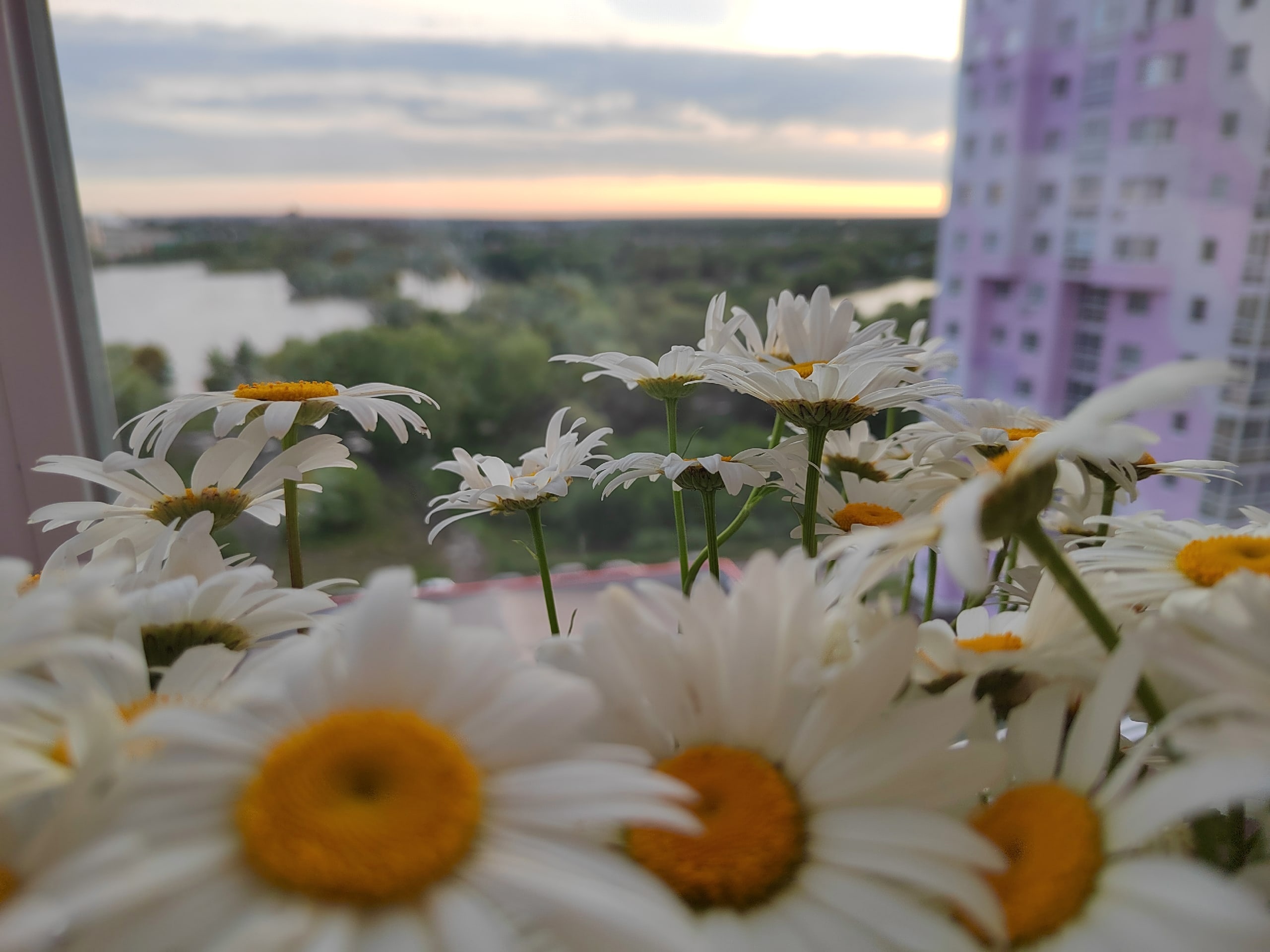 В субботу пензенцев ждет жара до плюс 30 градусов