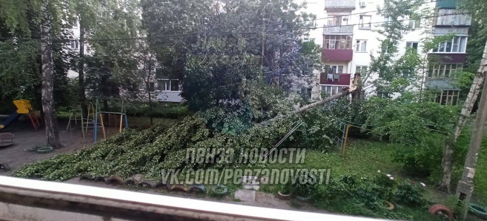В Пензе на детей и родителей упало два дерева