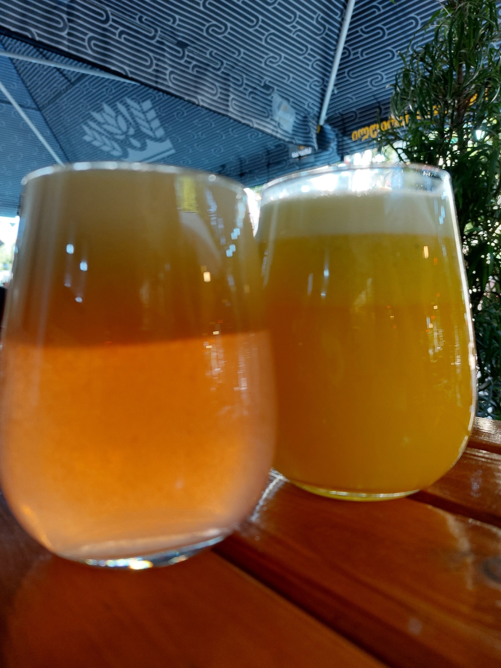 В Пензенской области правоохранители ищут в магазинах смертельно опасный сидр