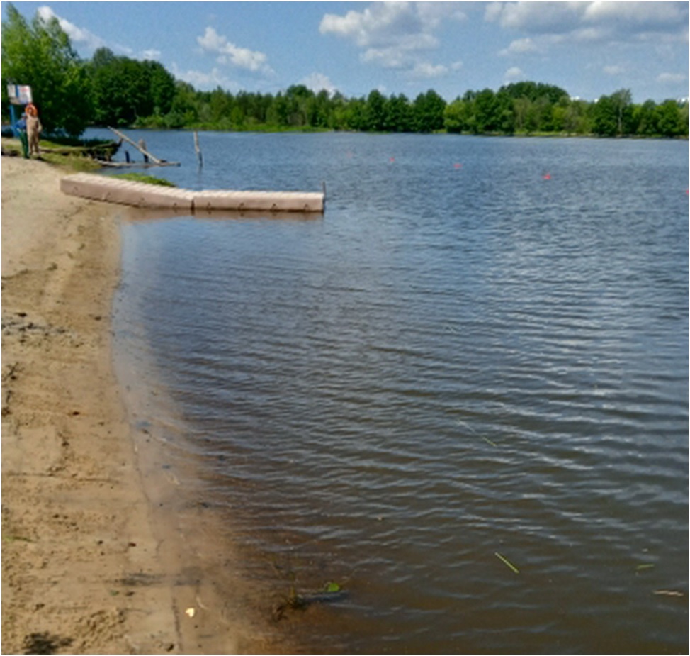В Пензе водолазы обследовали пляж «Русеевский» на Барковке