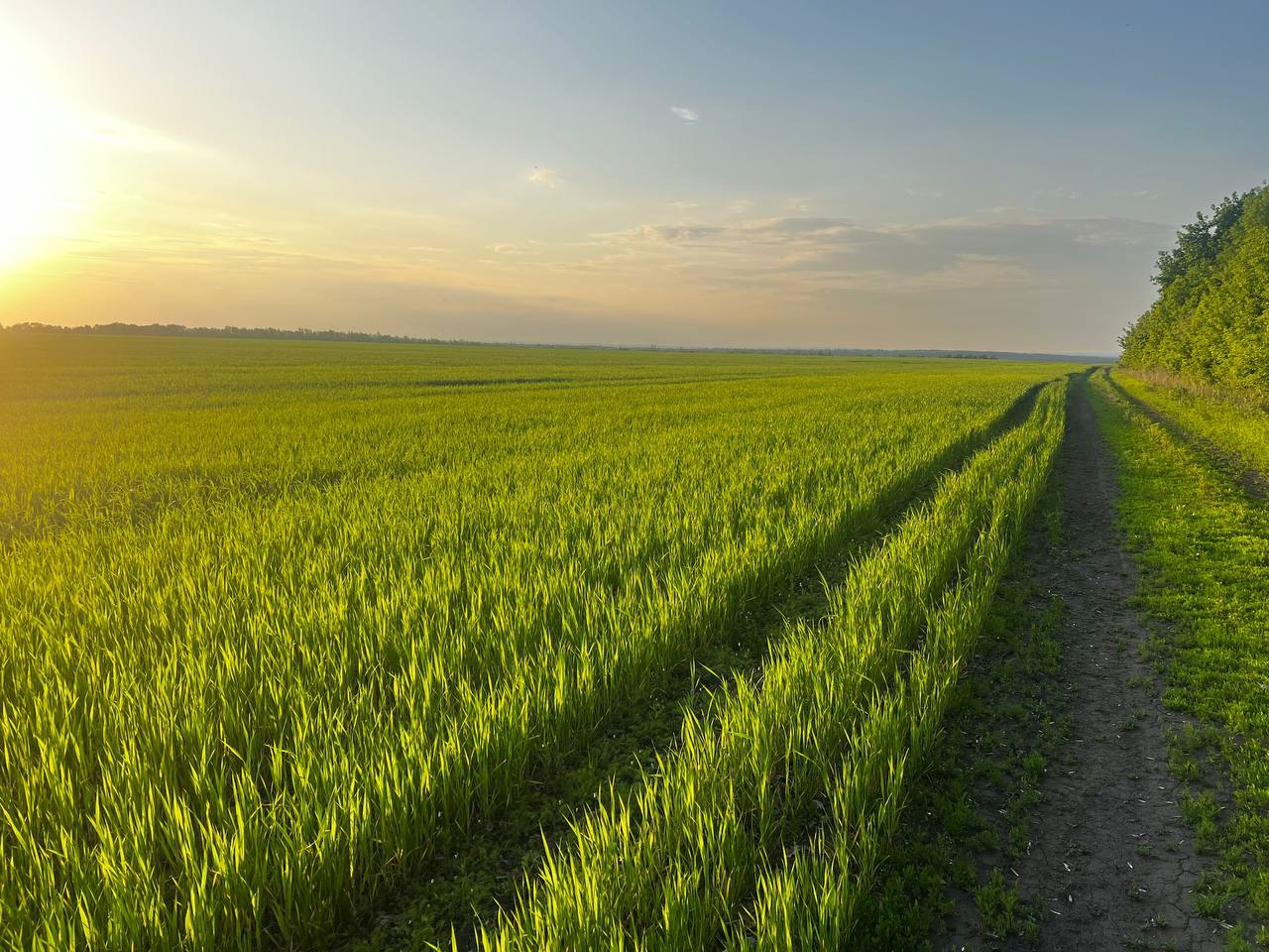 В Пензенской области аграриям разрешили пользоваться беспилотниками