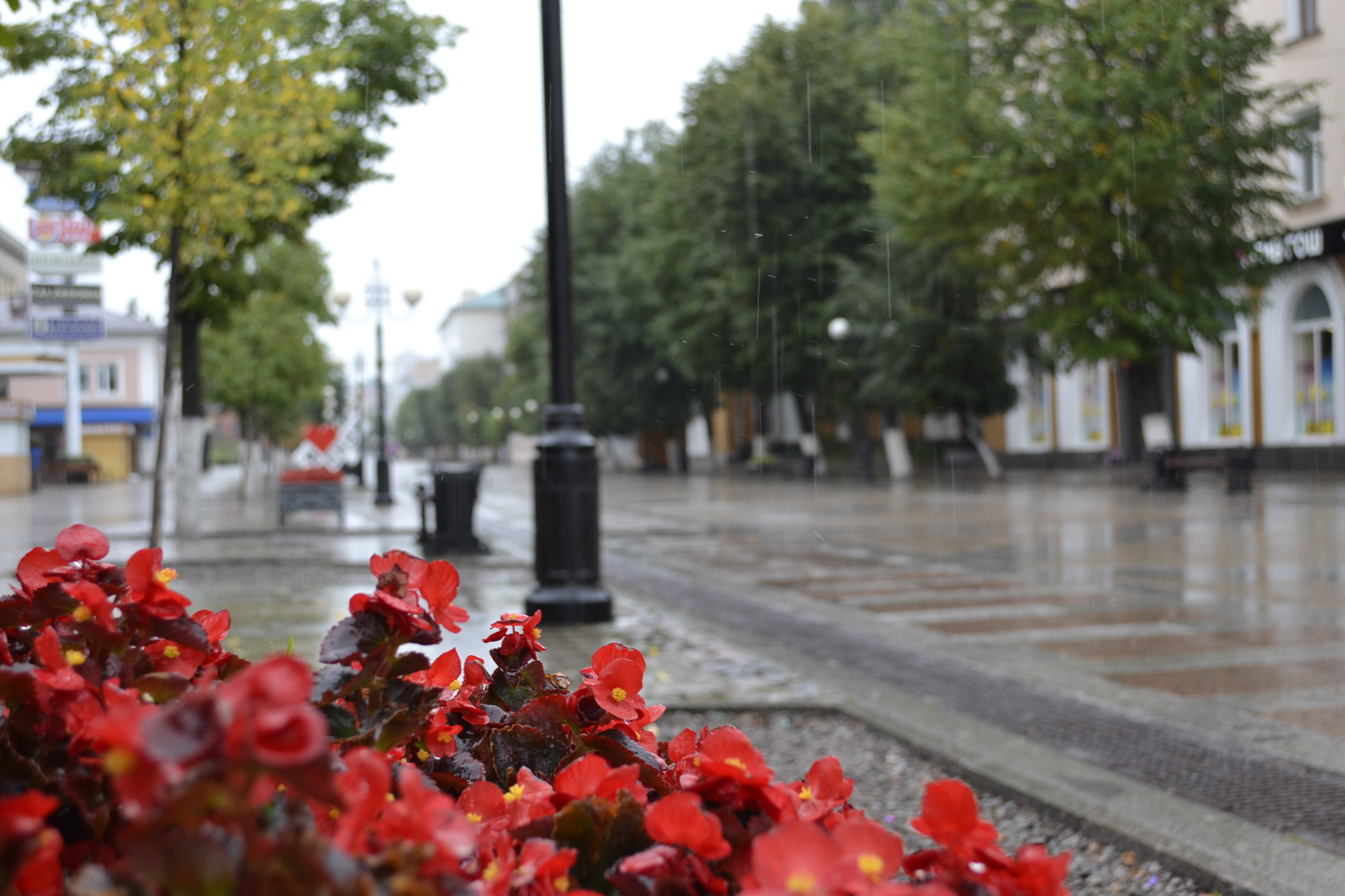 В Пензе установится прохладная дождливая погода