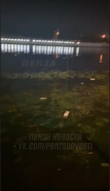 Жители Пензы шокированы загрязнением Суры на набережной у Ростка