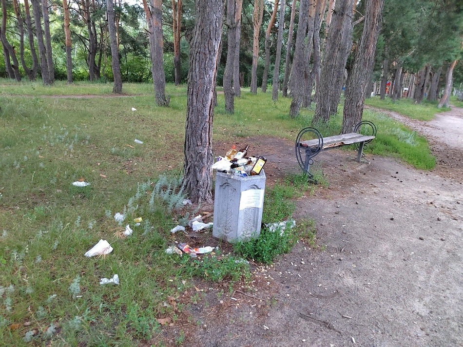 Мусор и отходы разлетаются по пензенскому скверу «Семейный»