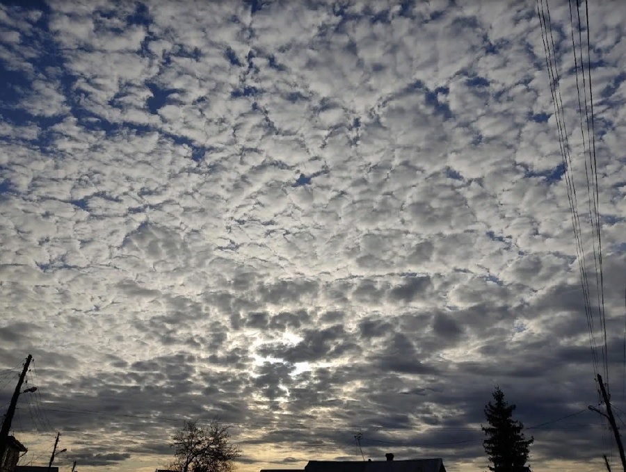 Дожди и грозы: 19 июля в Пензенской области испортится погода