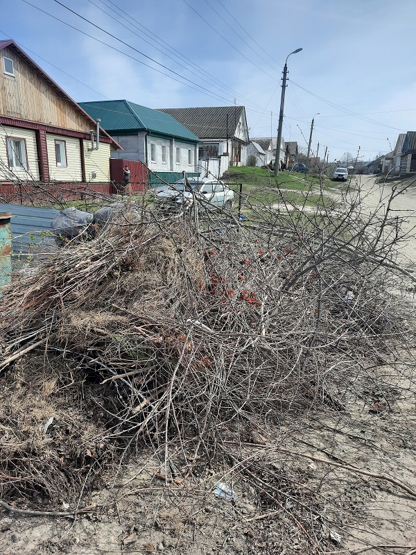 В Сердобске очистили незаконно захламленную территорию