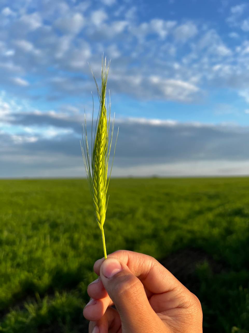 Олег Мельниченко отметил рост промышленного и сельхозсектора Пензенской области