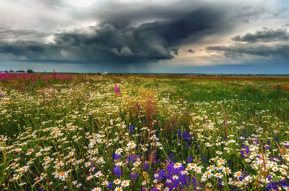Пензенцам показали красоту Кузнецкого края