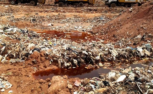 Арендатор участка в Нижнеломовском районе заплатит 39 млн рублей за вред почве