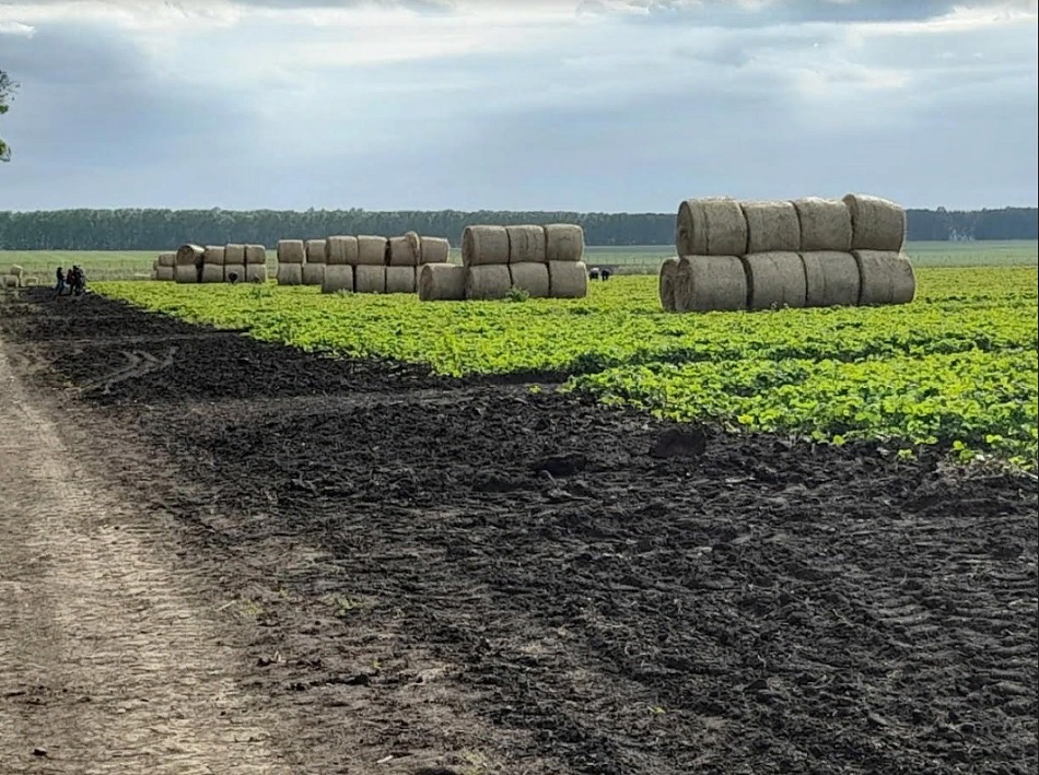 Андрей Разин отметил работу пензенских аграриев