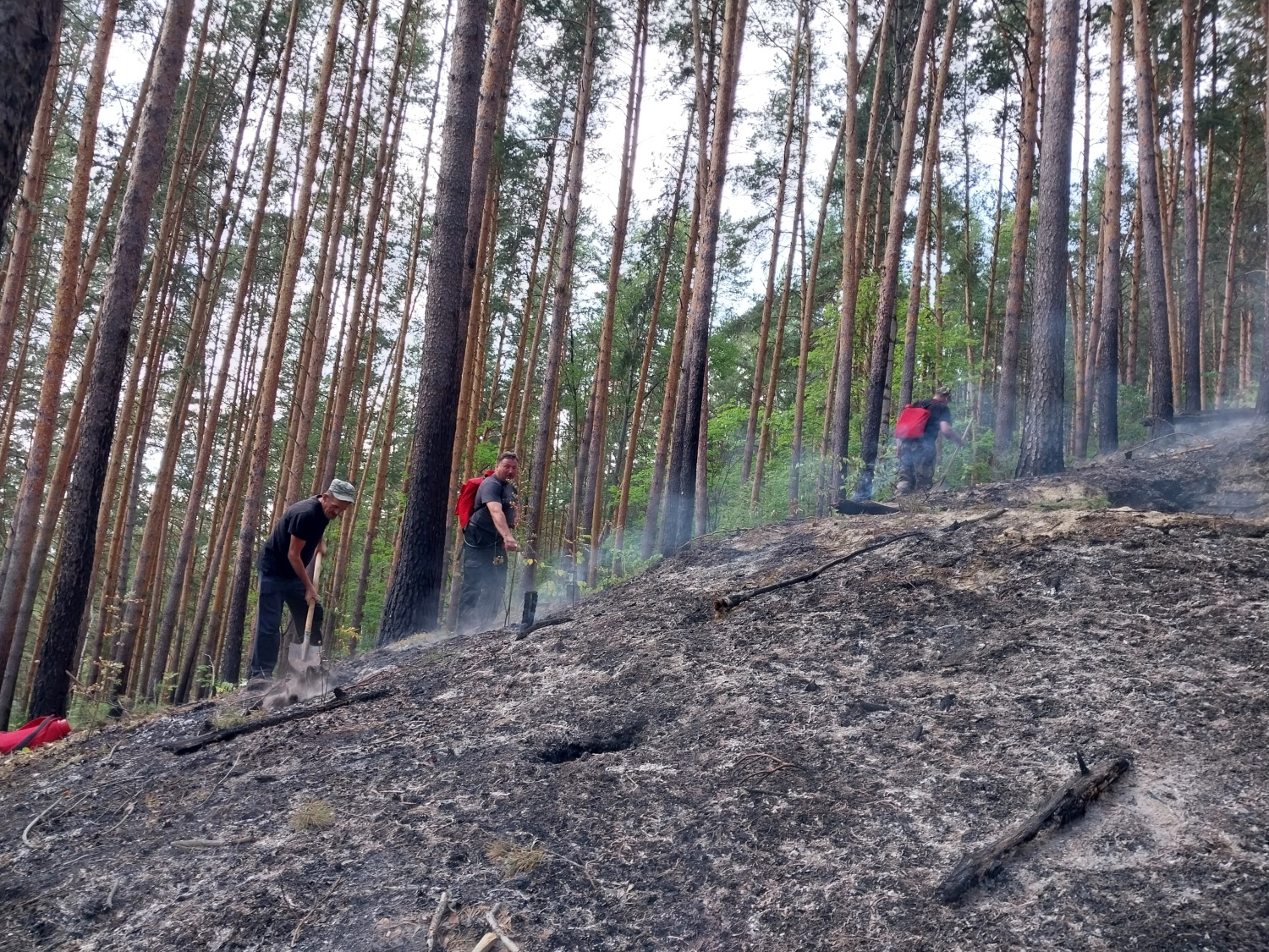 В Пензенской области потушили 23-й лесной пожар