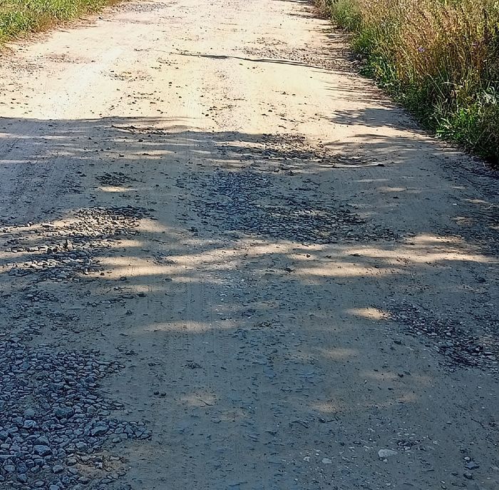 Жители пензенского села пожаловались на «страшную» дорогу, ведущую к кладбищу