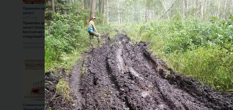 В Нижегородской области нашли пензячку, блуждающую по лесу больше суток