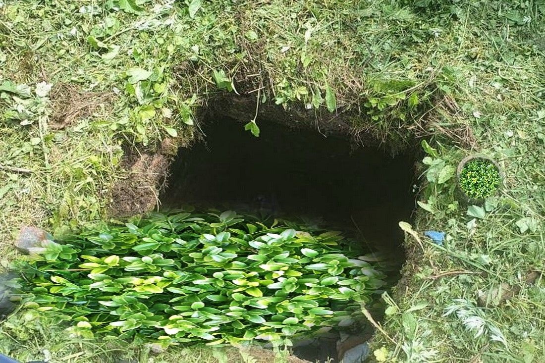 В Пензе мужчина повредил ногу после падения в уличный погреб