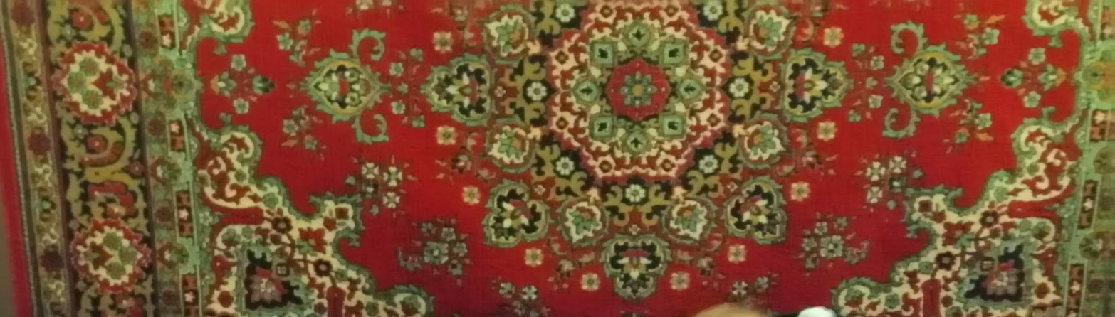 Кража века: в Колышлейском районе супруги обокрали односельчанку