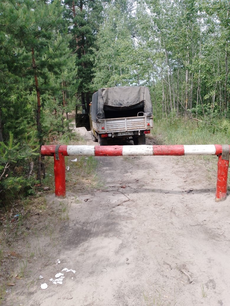 Пензенцам объяснили, почему в лесах установлены легко разбираемые шлагбаумы