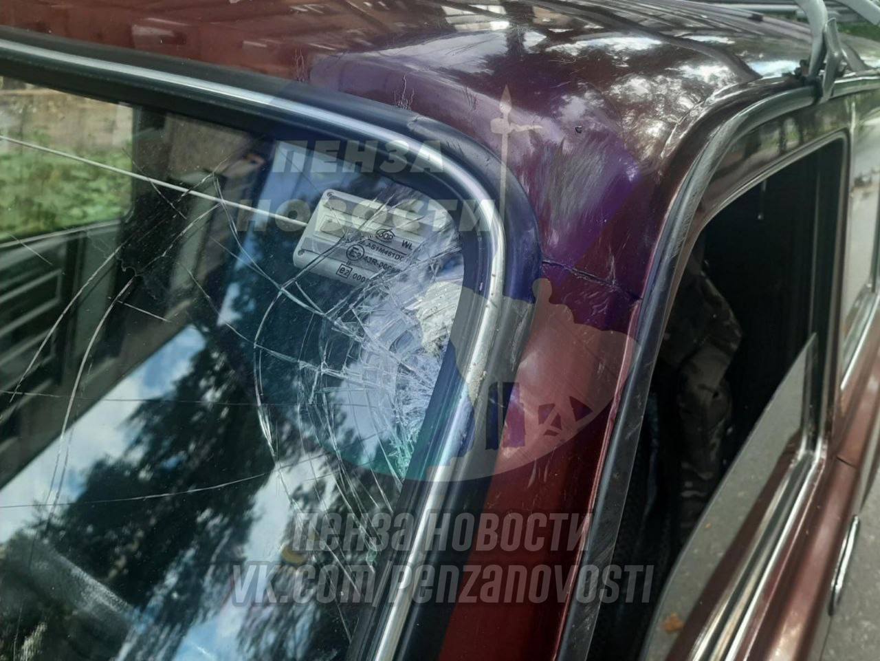 В Пензе гнилая береза рухнула на лобовое стекло проезжавшей мимо машины