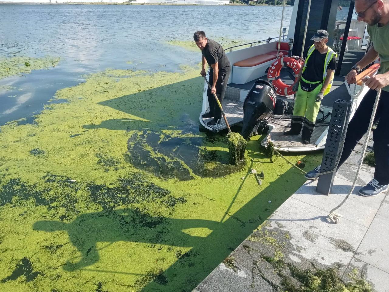 В Пензе приступили к очистке Суры от водорослей