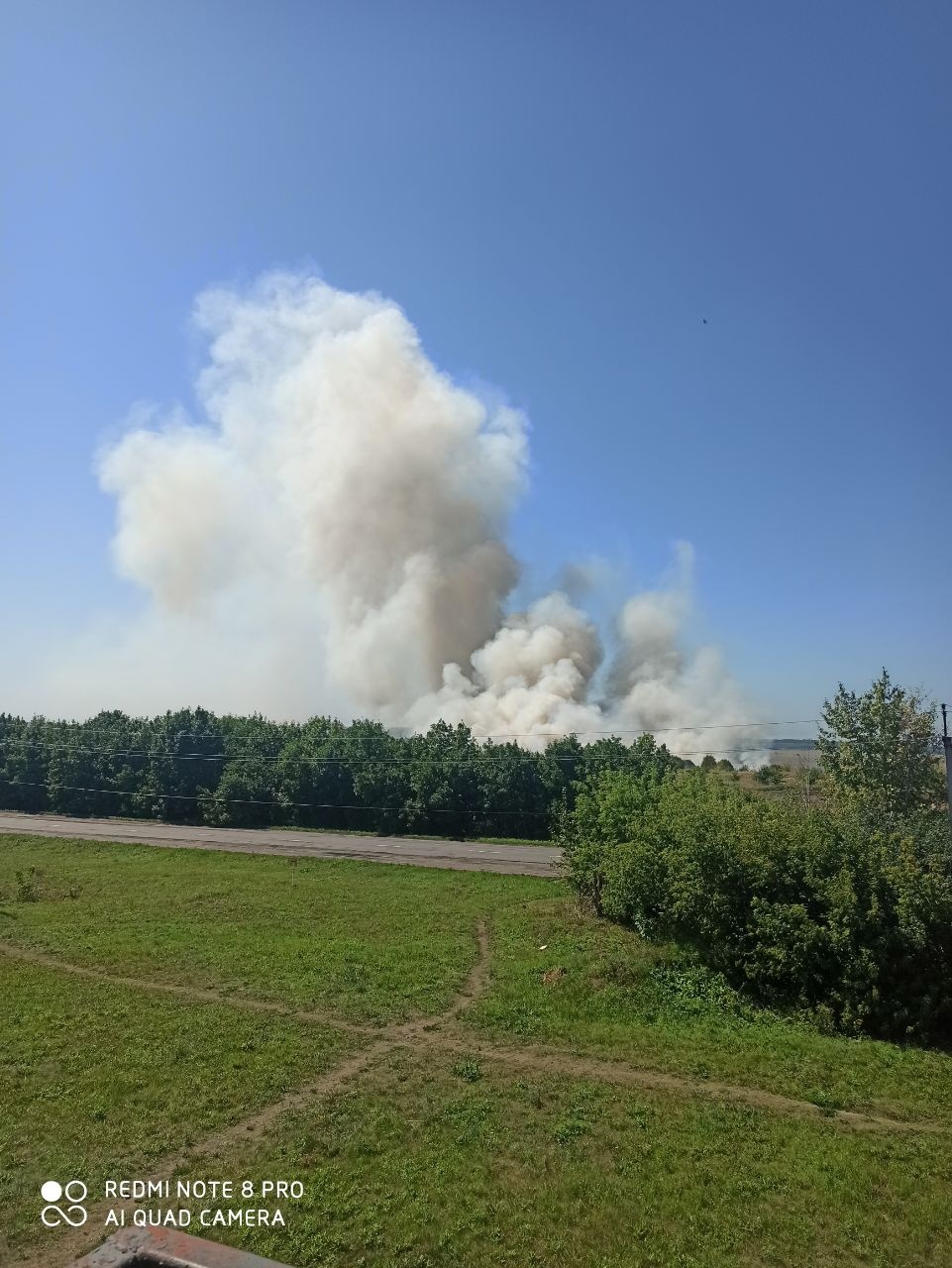 В Пензе в районе Зари загорелась сухая трава