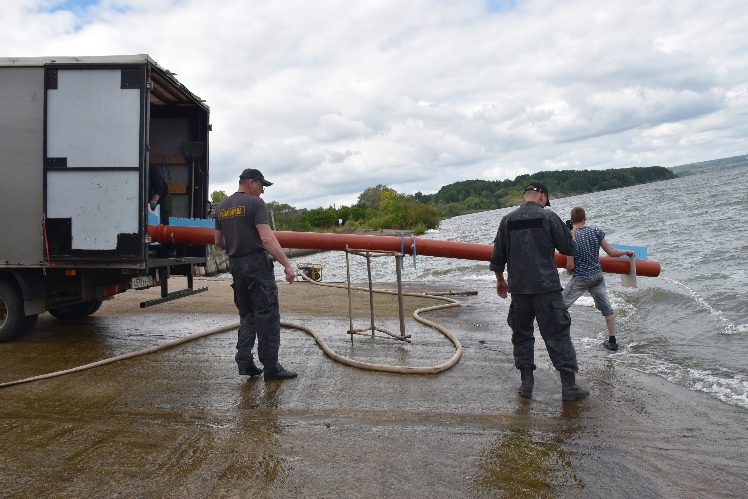 В Пензе в Сурское водохранилище выпустили 9 000 мальков стерляди