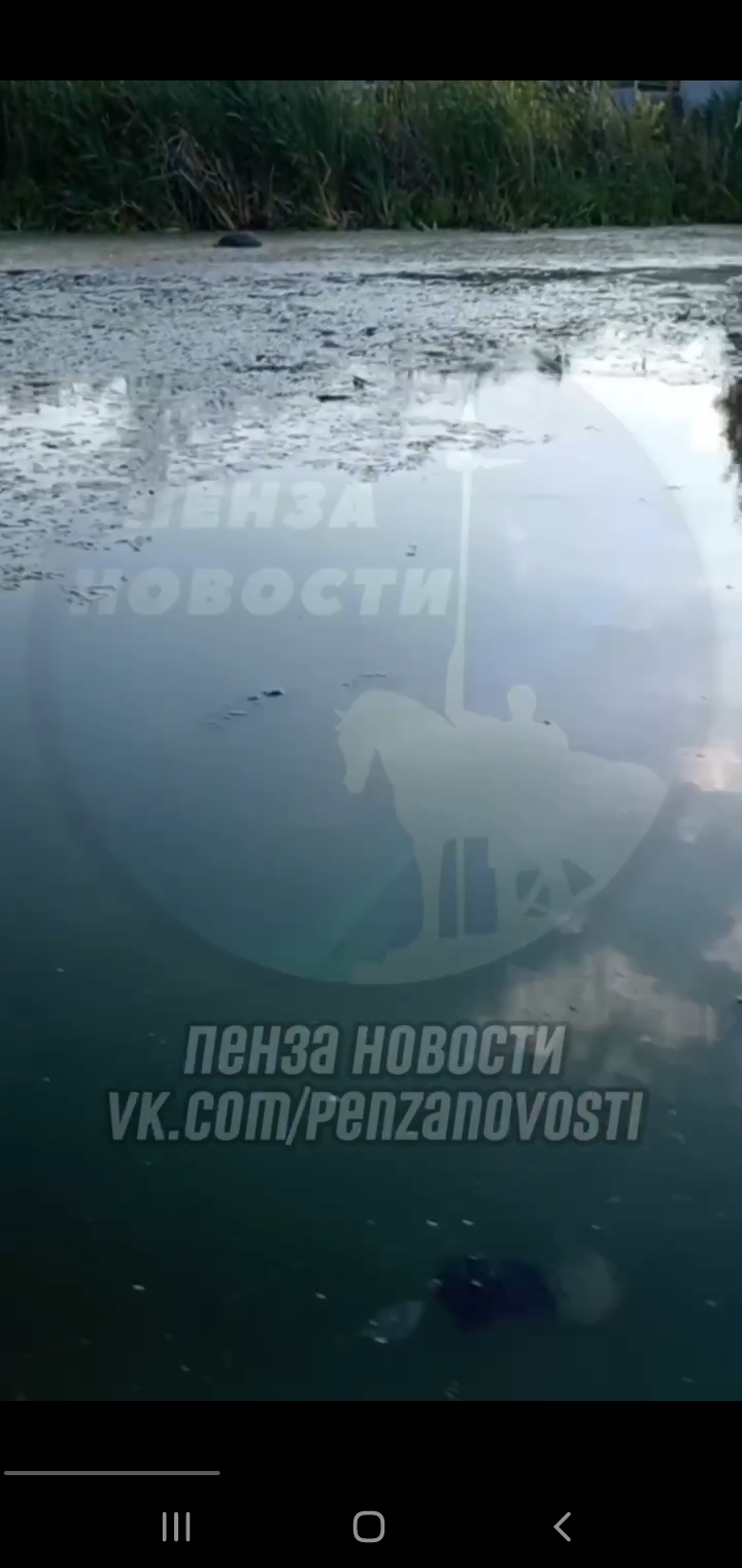 Пензенцы жалуются на загрязнение реки в микрорайоне Маяк