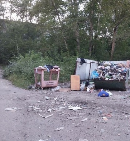 Пензенцам ответили, когда уберут гору отходов на улице Ульяновской