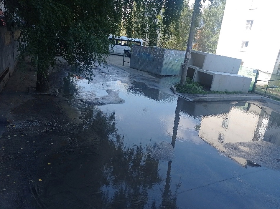 Пензенцы жалуются на фонтан из-под асфальта на улице Пушкина
