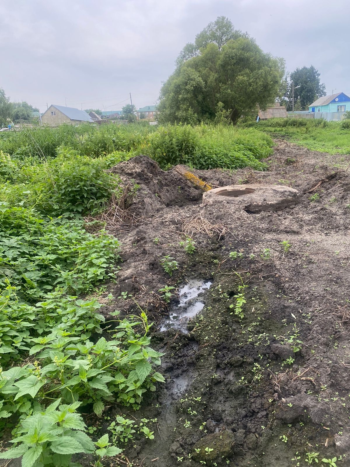 Жители Большой Елани написали коллективное обращение к губернатору