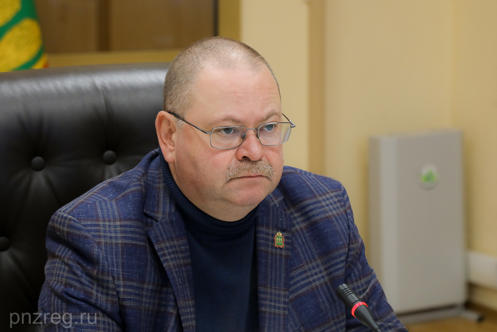 Олег Мельниченко поручил утеплить больницу в Тамалинском районе до зимы