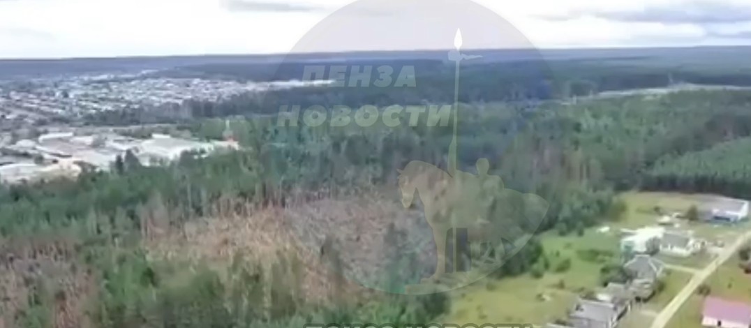 В Никольском районе после страшного урагана «полысел» лес