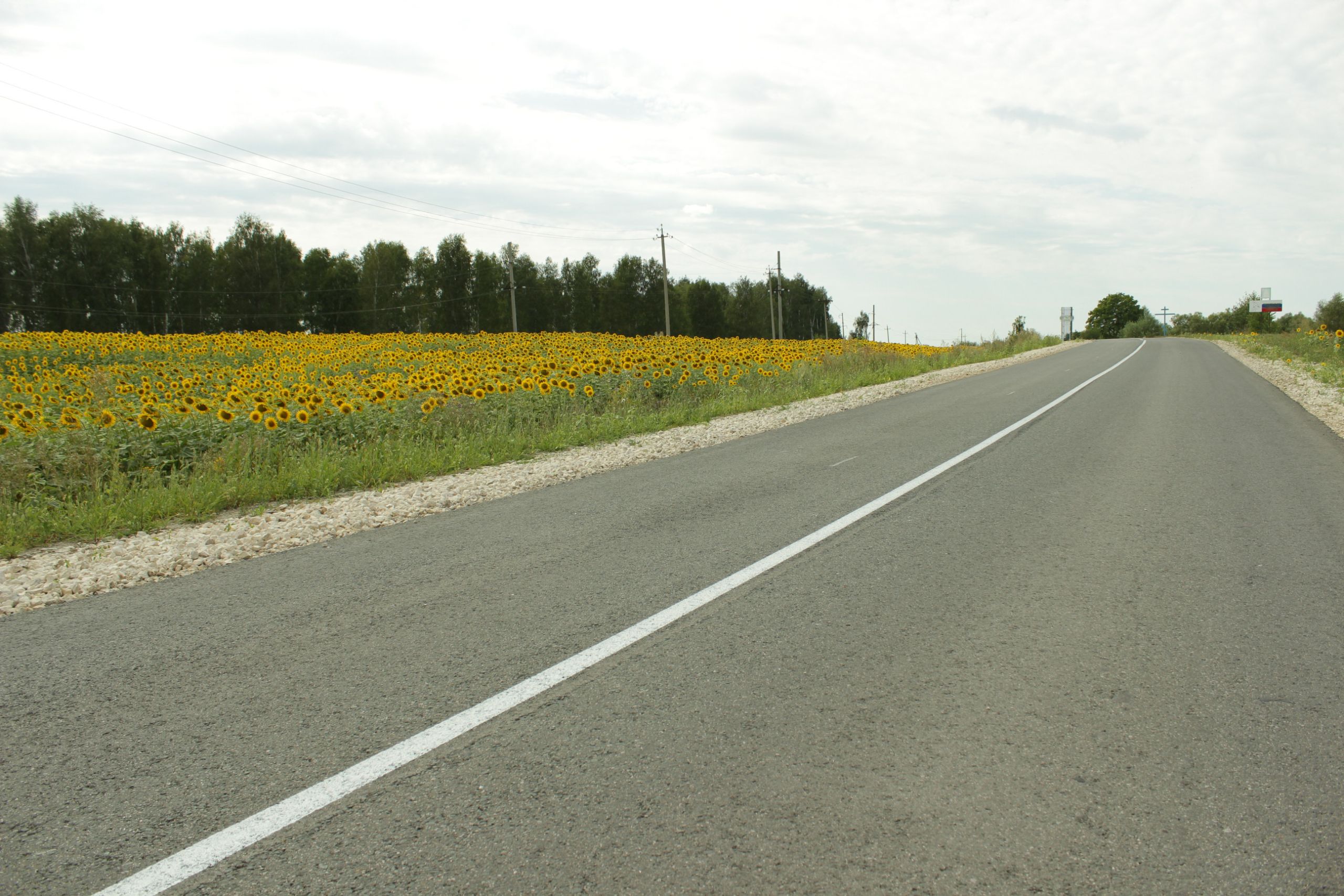 В Пензенской области завершен ремонт дороги в рамках нацпроекта